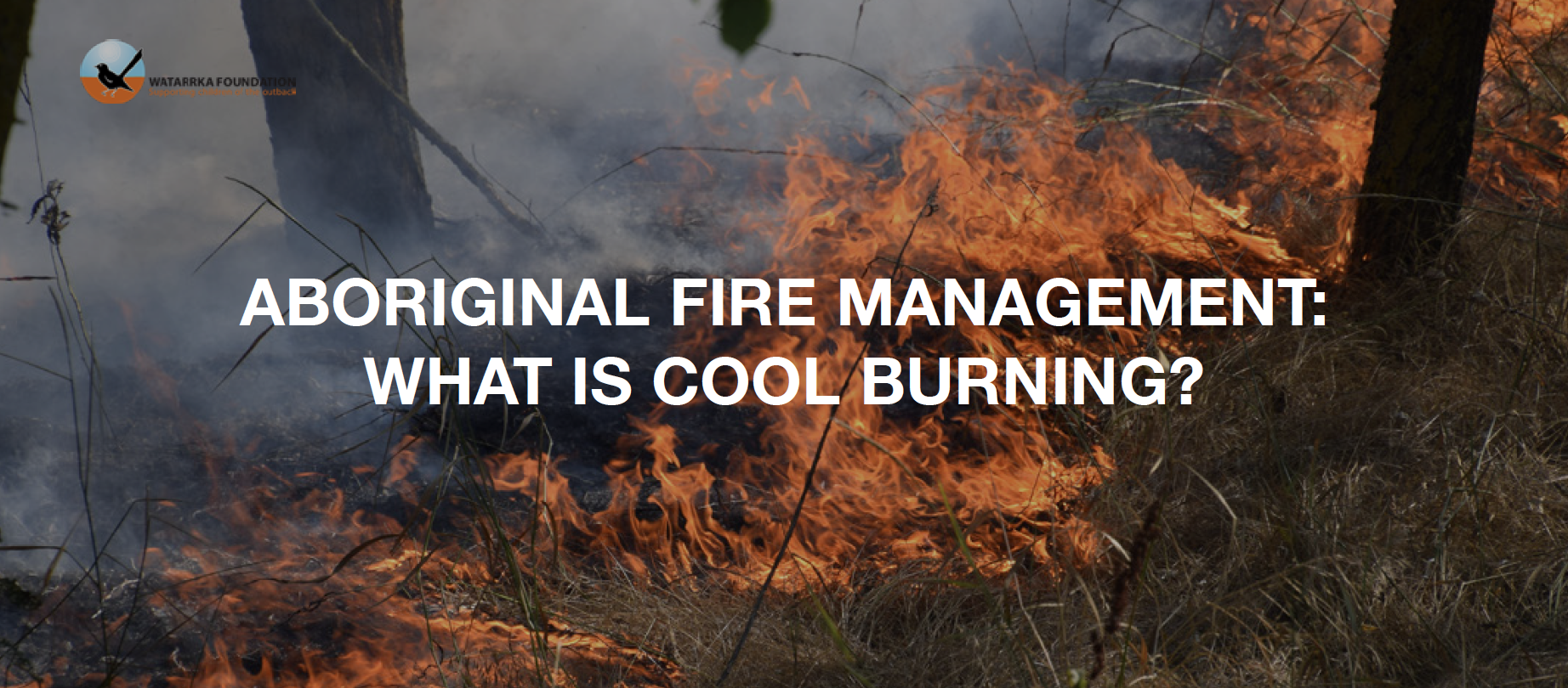 Aboriginal Fire Management What is Cool Burning?